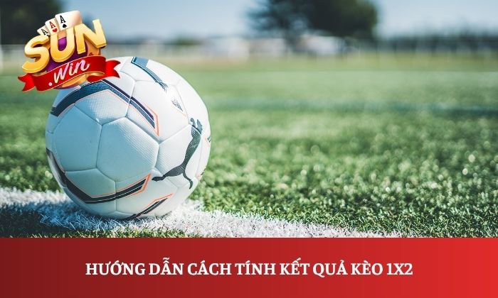 Hướng dẫn chơi kèo 1X2 bóng đá: Cách đọc tỷ lệ và cách tính kết quả 3 Hướng dẫn cách tính kết quả kèo 1X2