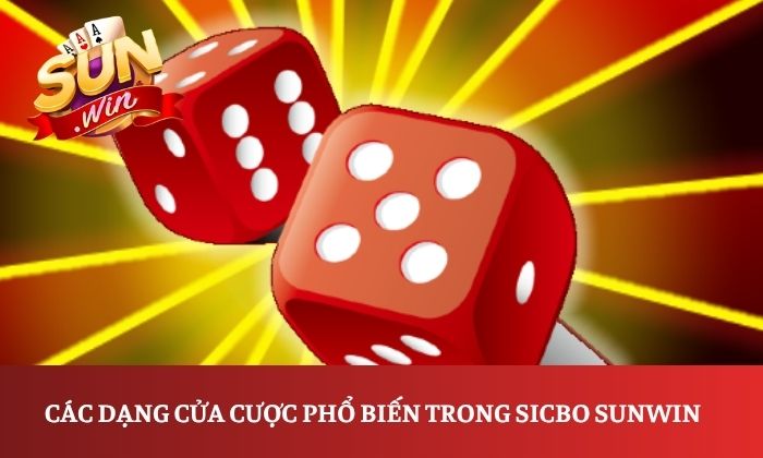 Cách chơi Sicbo Sunwin đơn giản, dễ hiểu cho người mới 2 Các dạng cửa cược phổ biến trong Sicbo Sunwin